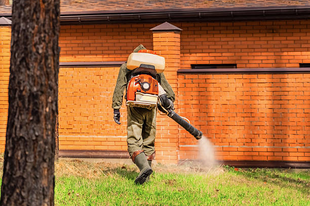 Trusted Cockroach Control service in Cascade Valley, WA - Nex Pest Control